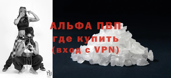 индика Нижний Тагил